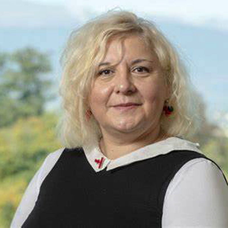Lucica Ditiu